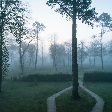 Les Chambres D'Hotes Du Domaine De Lugazaut Vielle-Soubiran ภายนอก รูปภาพ