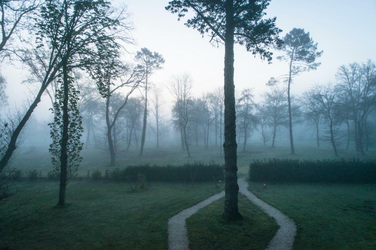 Les Chambres D'Hotes Du Domaine De Lugazaut Vielle-Soubiran ภายนอก รูปภาพ
